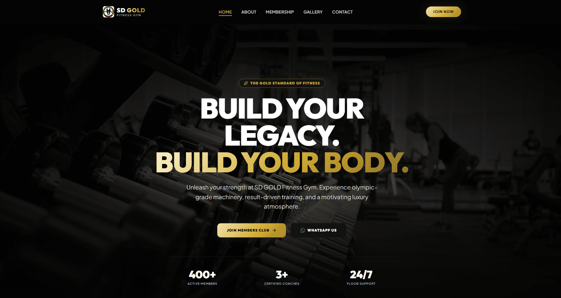 SD Gold Fitness Gym - Business Websites built by RSIO in Assam